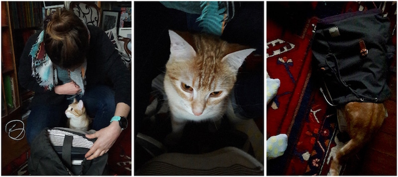 profession blogueuse