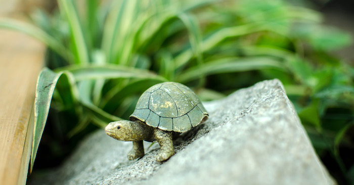 blog écologie au quotidien