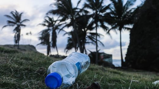 influenceurs green et marques