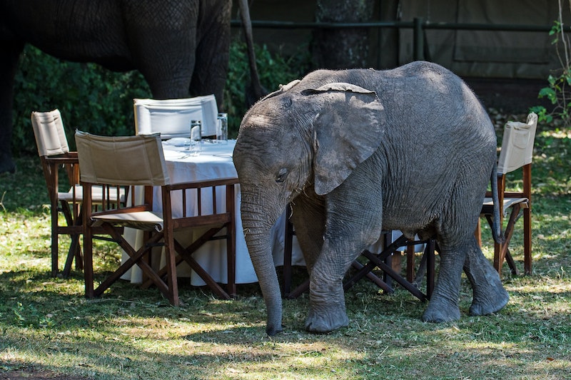 Repenser notre rapport à l’argent… au service de la transition !